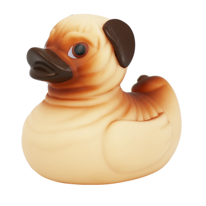 Pug Duck