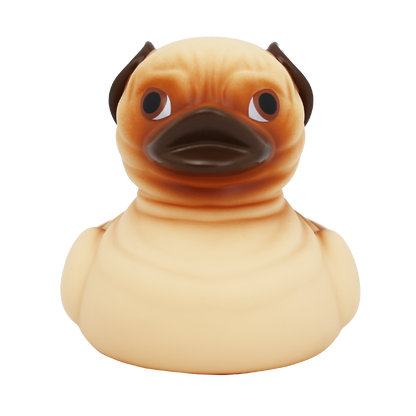 Pug Duck