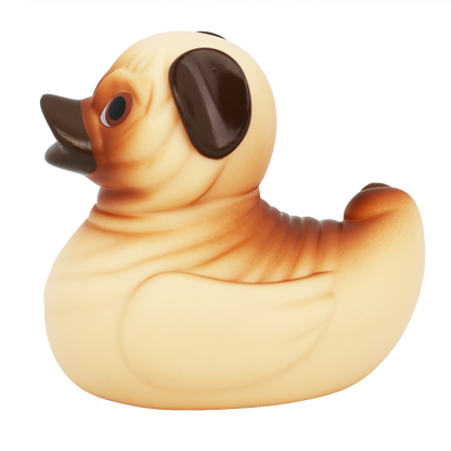 Pug Duck