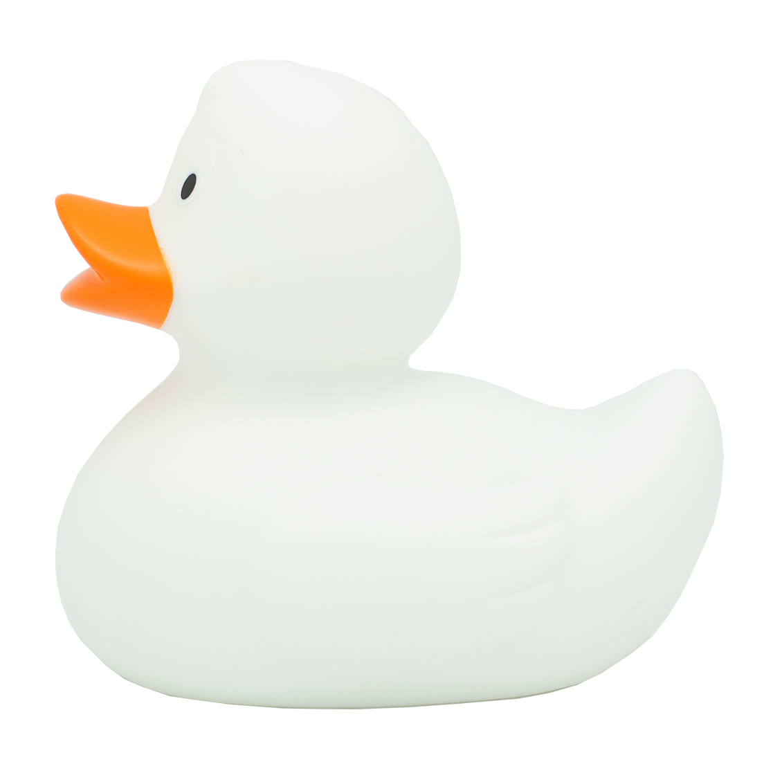 Canard Classique Blanc