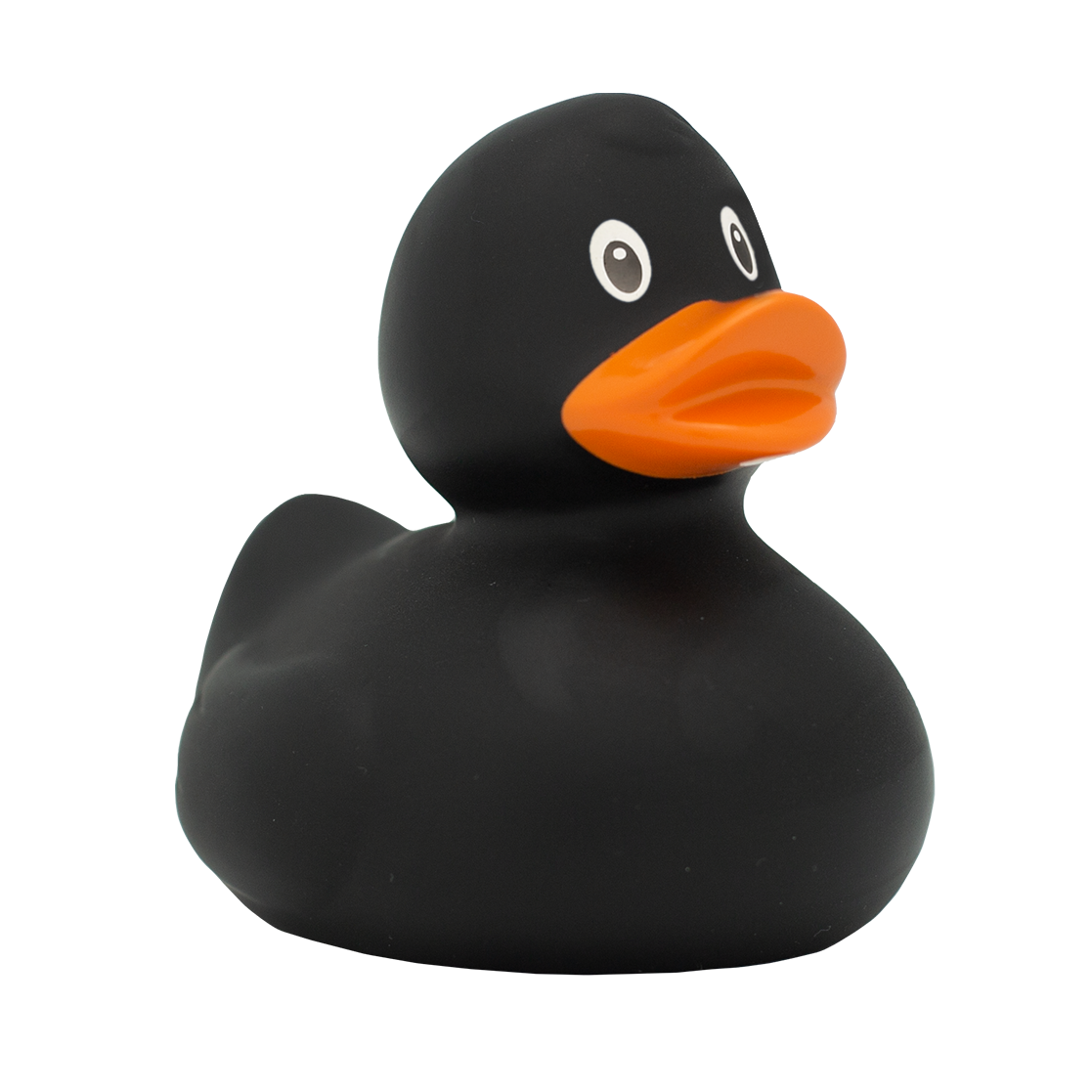 Класическа черна патица