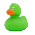 Classic green duck