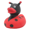 Canard Coccinelle