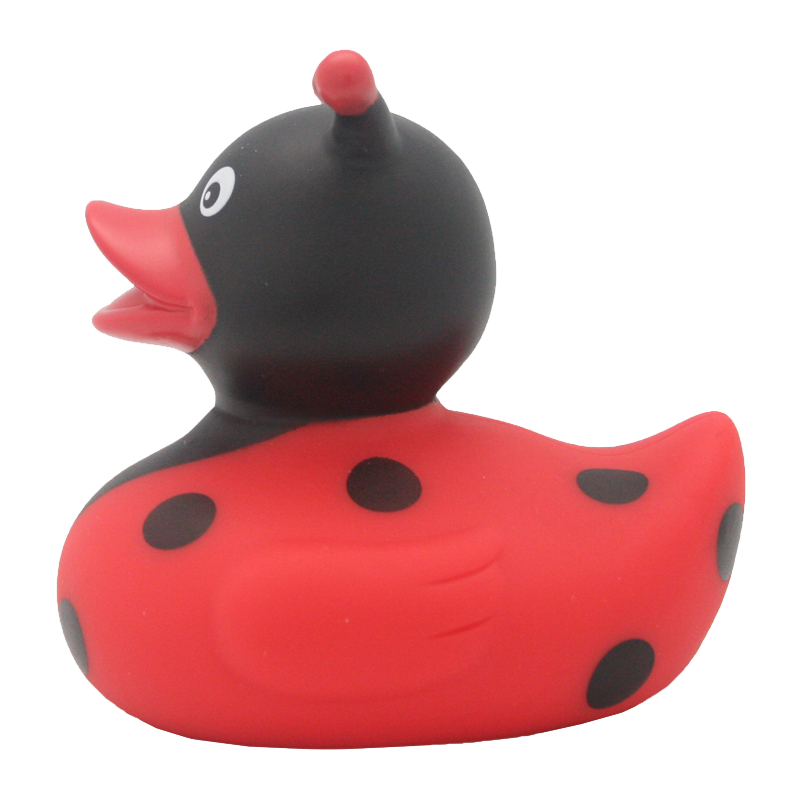 canard-coccinelle-lilalu
