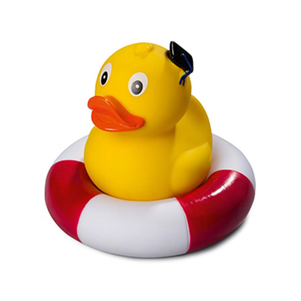 canard-debout-diplome-schnabels