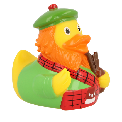 Scottish duck