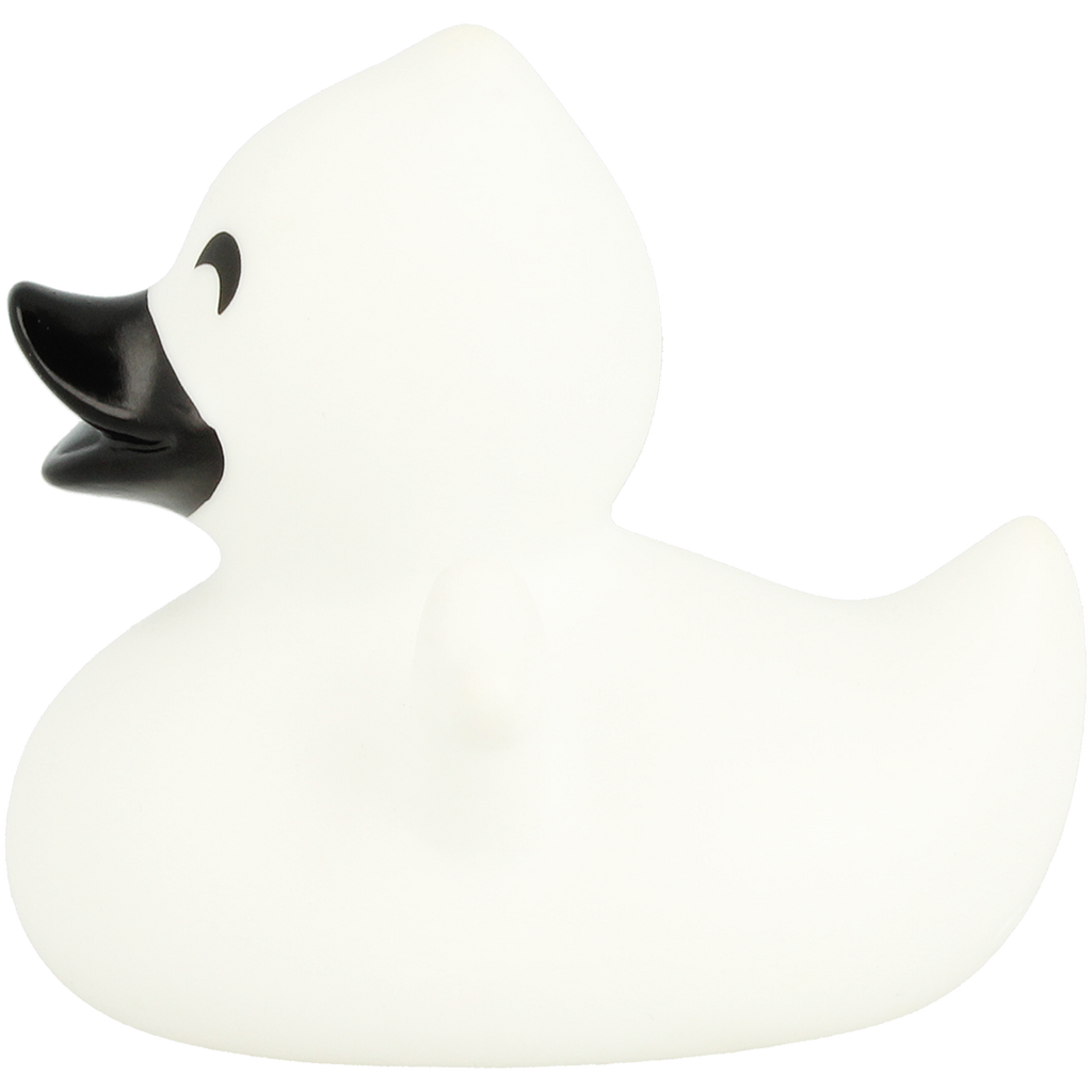 Ghost duck