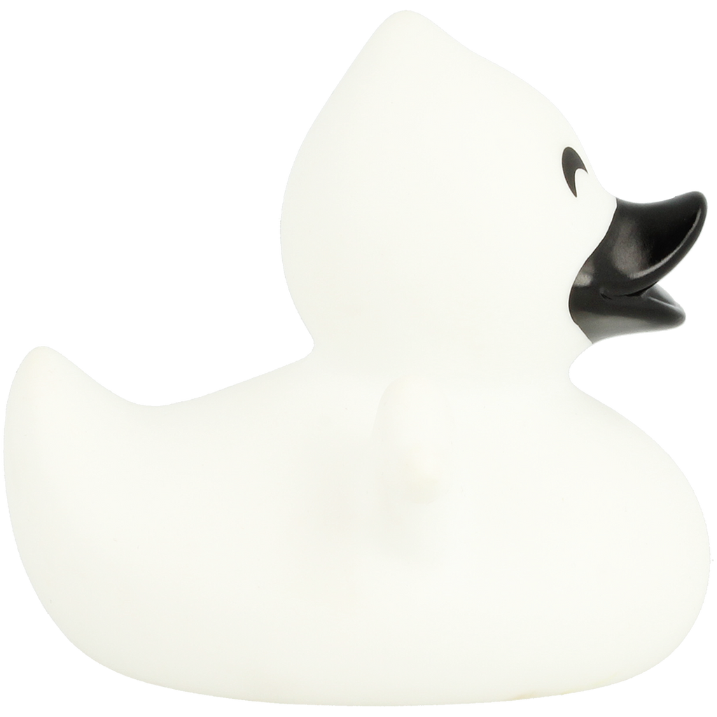 Ghost duck