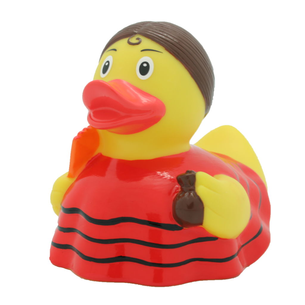 Flamenco duck