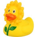 Sunflower Duck