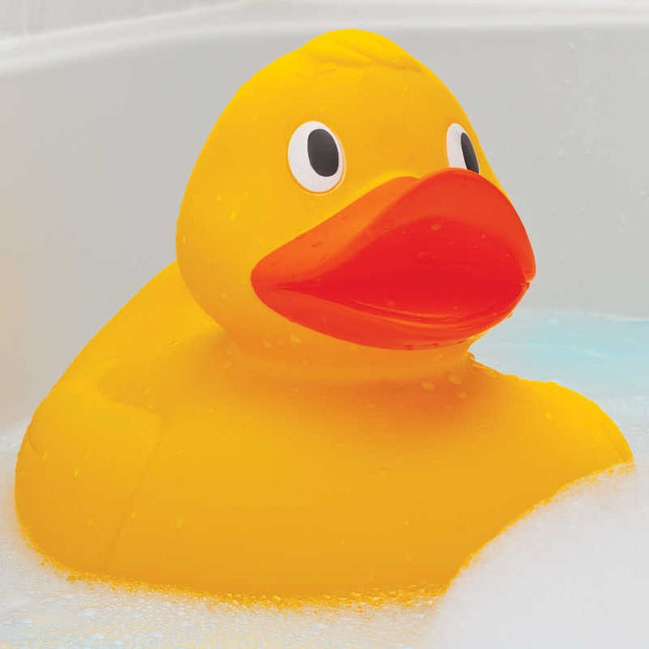 Canard de bain - Le Chevalier