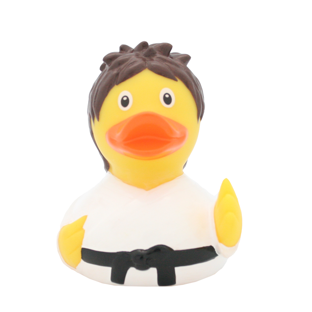 canard-kung-fu-lilalu