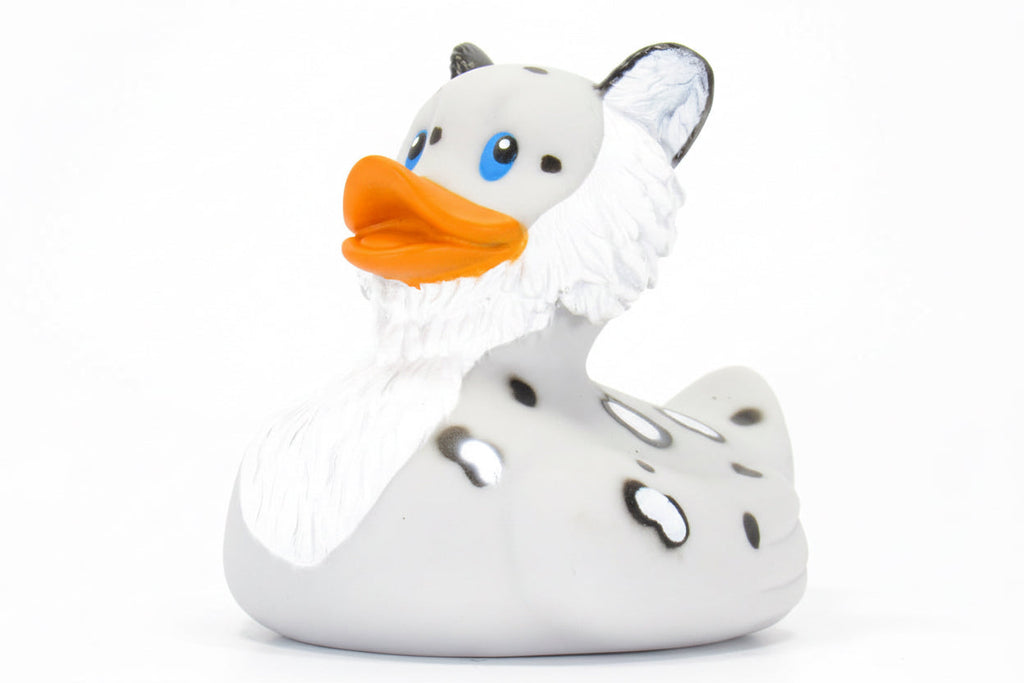 Snow leopard duck