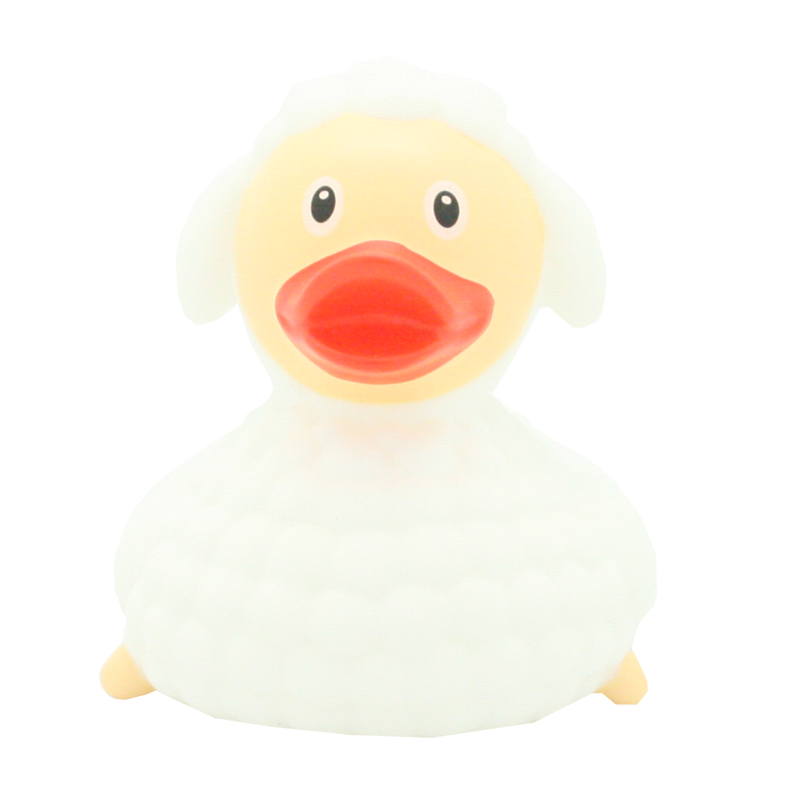 Sheep duck