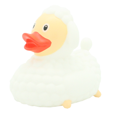 Sheep duck