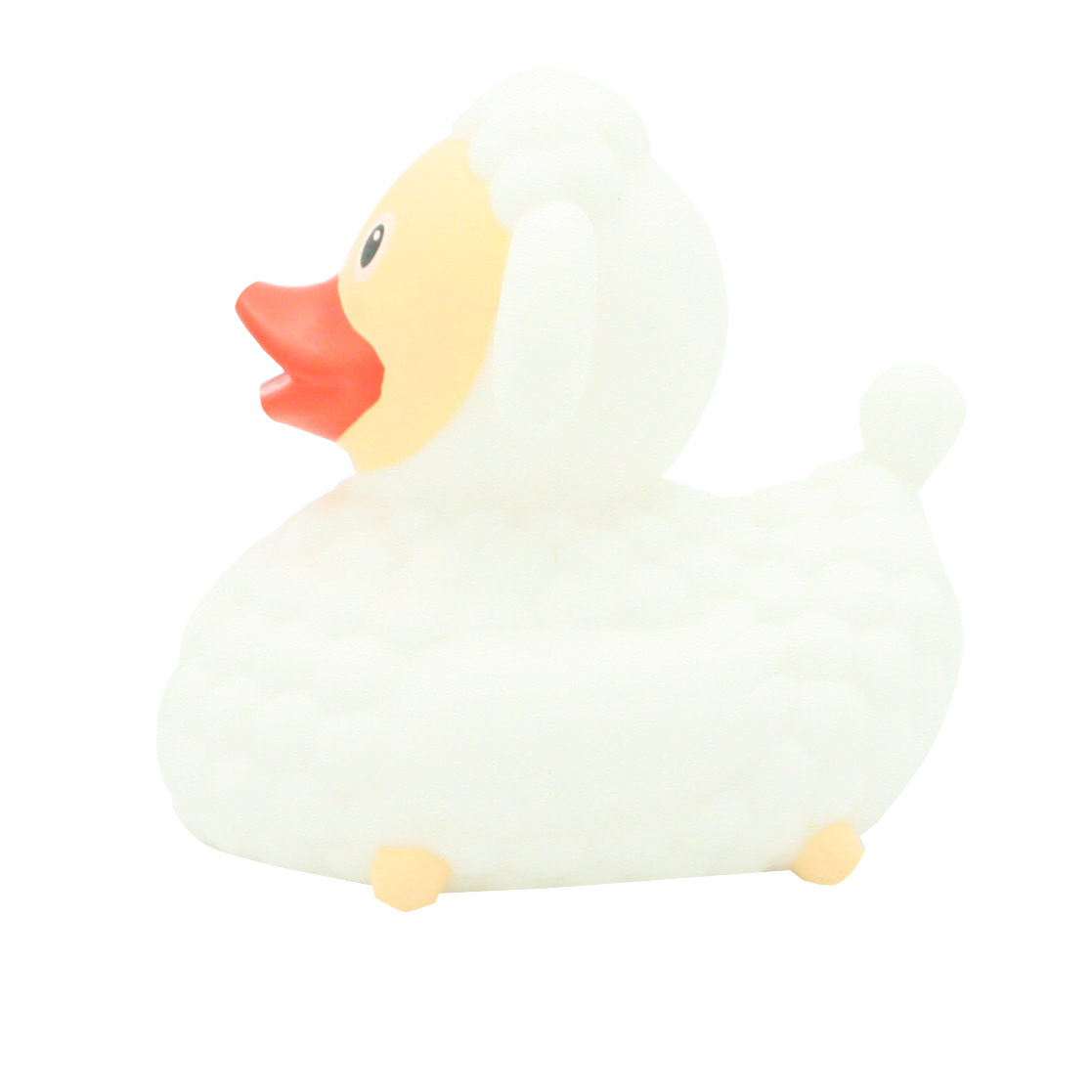 Sheep duck