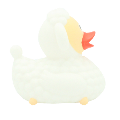 Sheep duck