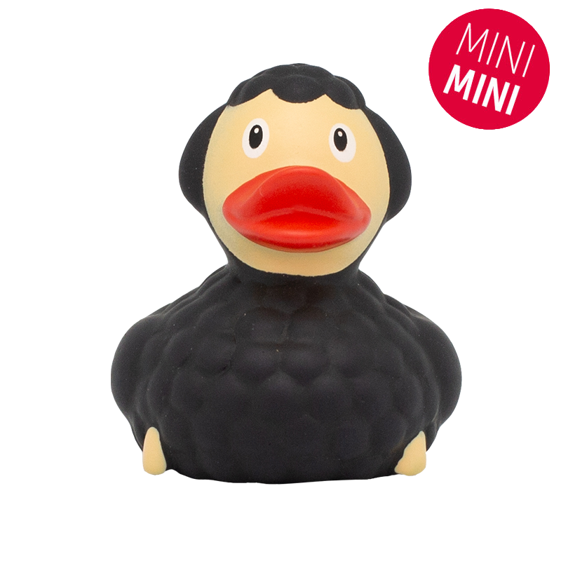 mini-canard-mouton-noir-lilalu
