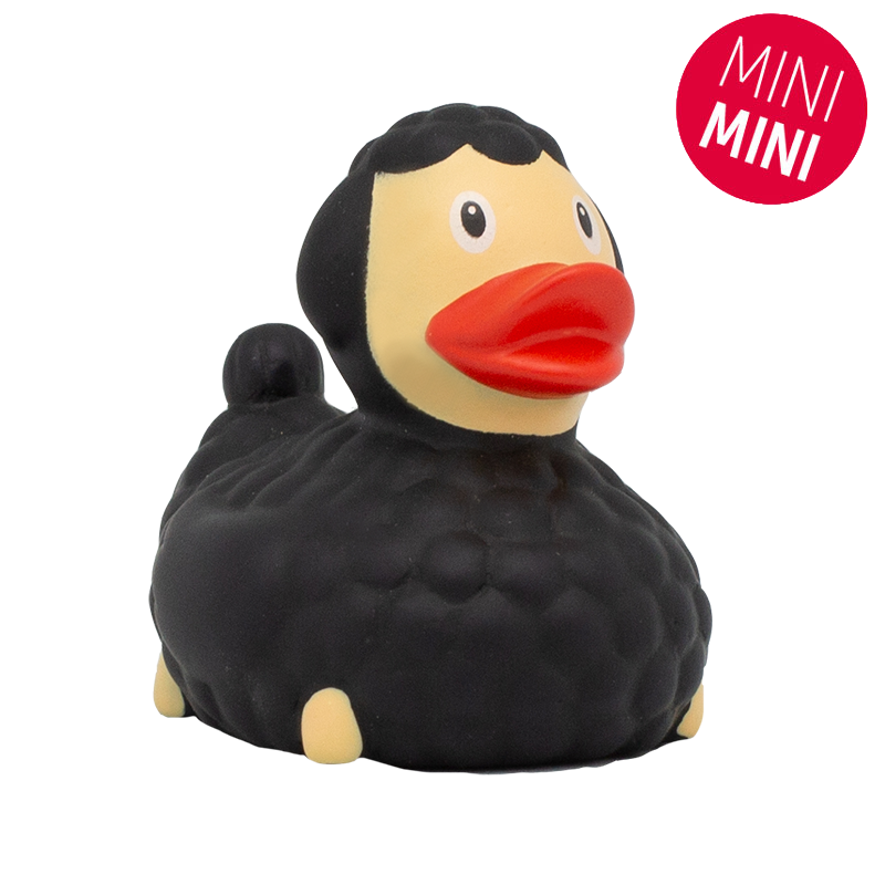 Mini Black Sheck Duck