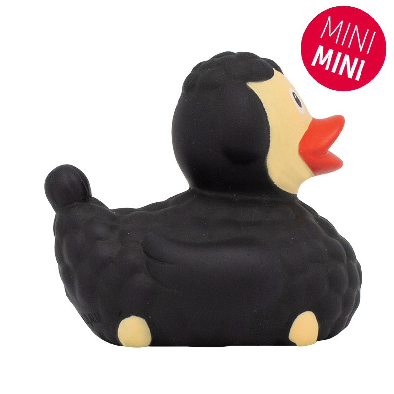 Mini Black Sheck Duck