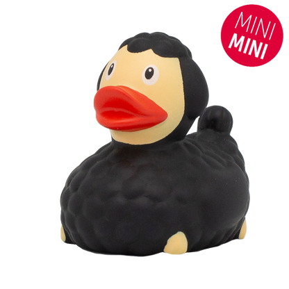 Mini Black Sheck Duck