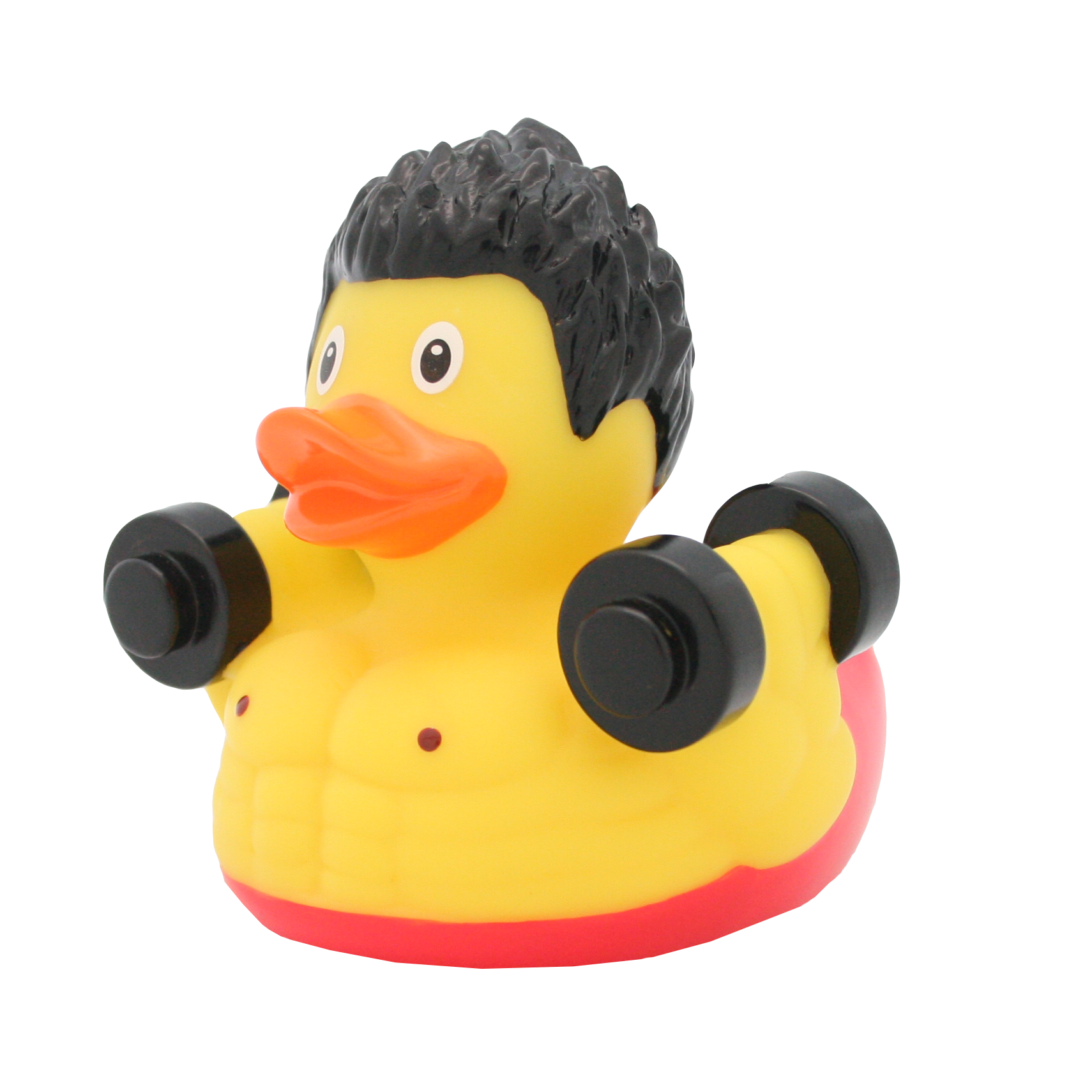Canard Musculation
