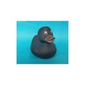 Canard Original Noir