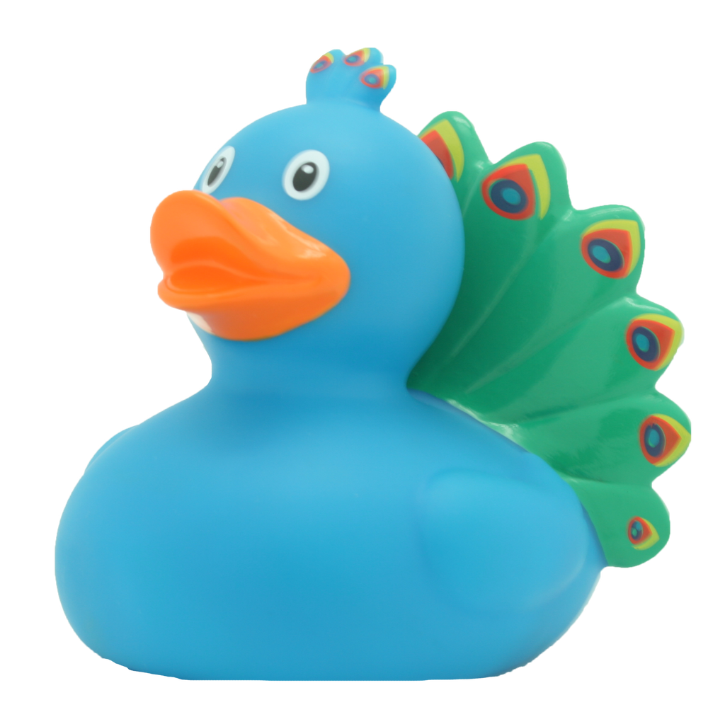 Canard Paon Lilalu - vue 1