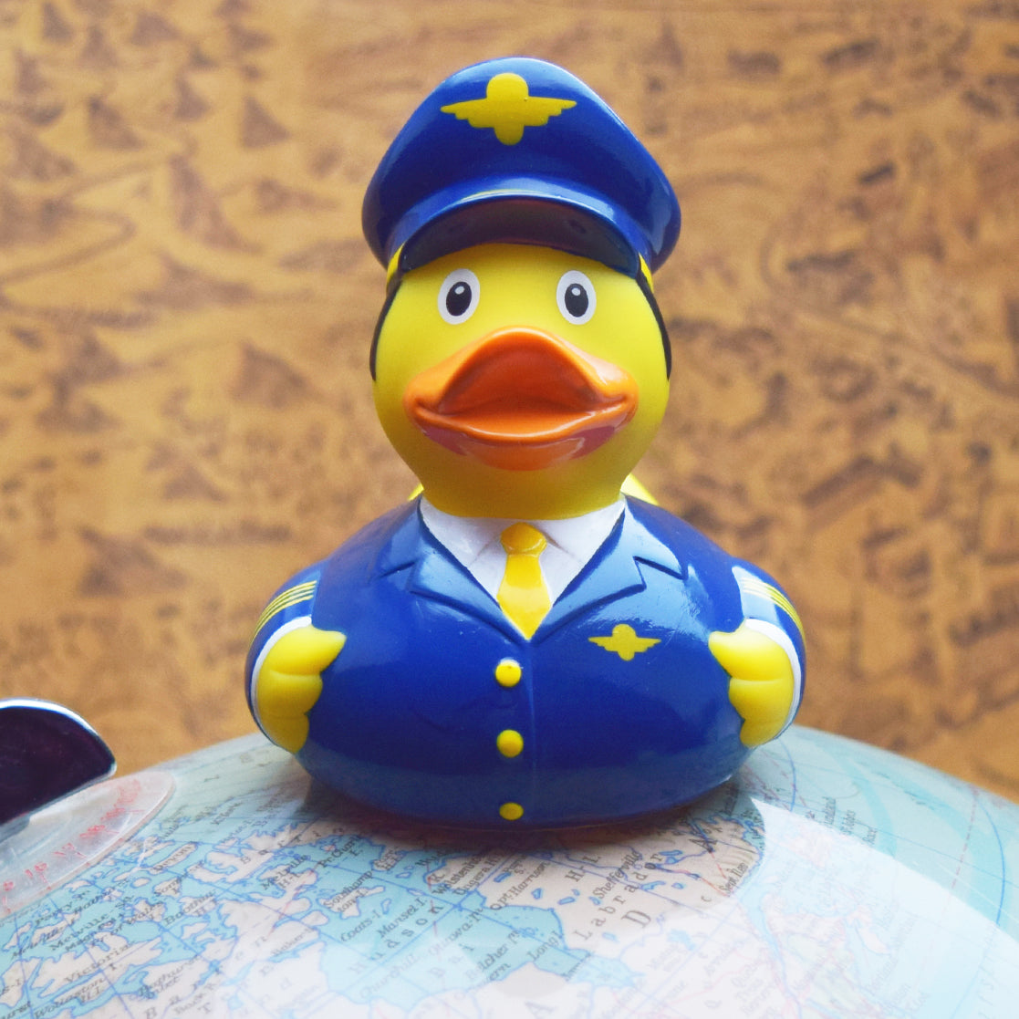 Airline-Pilot-Ente