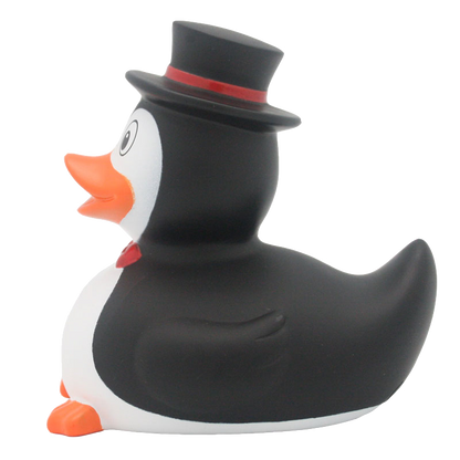 Penguin duck