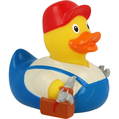 Canard Bricoleur