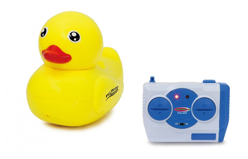 canard-radiocommande