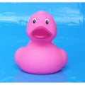 canard-original-rose