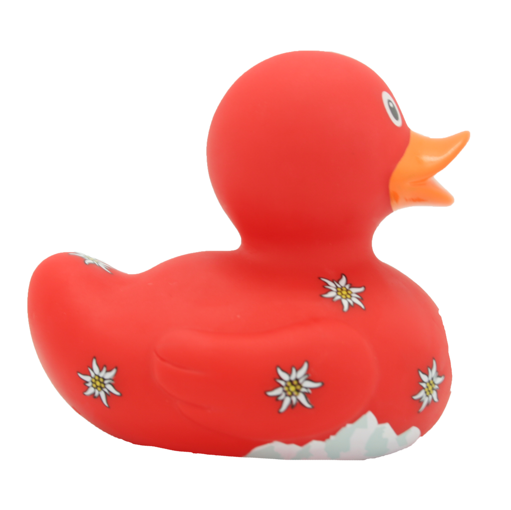 Swiss Duck.