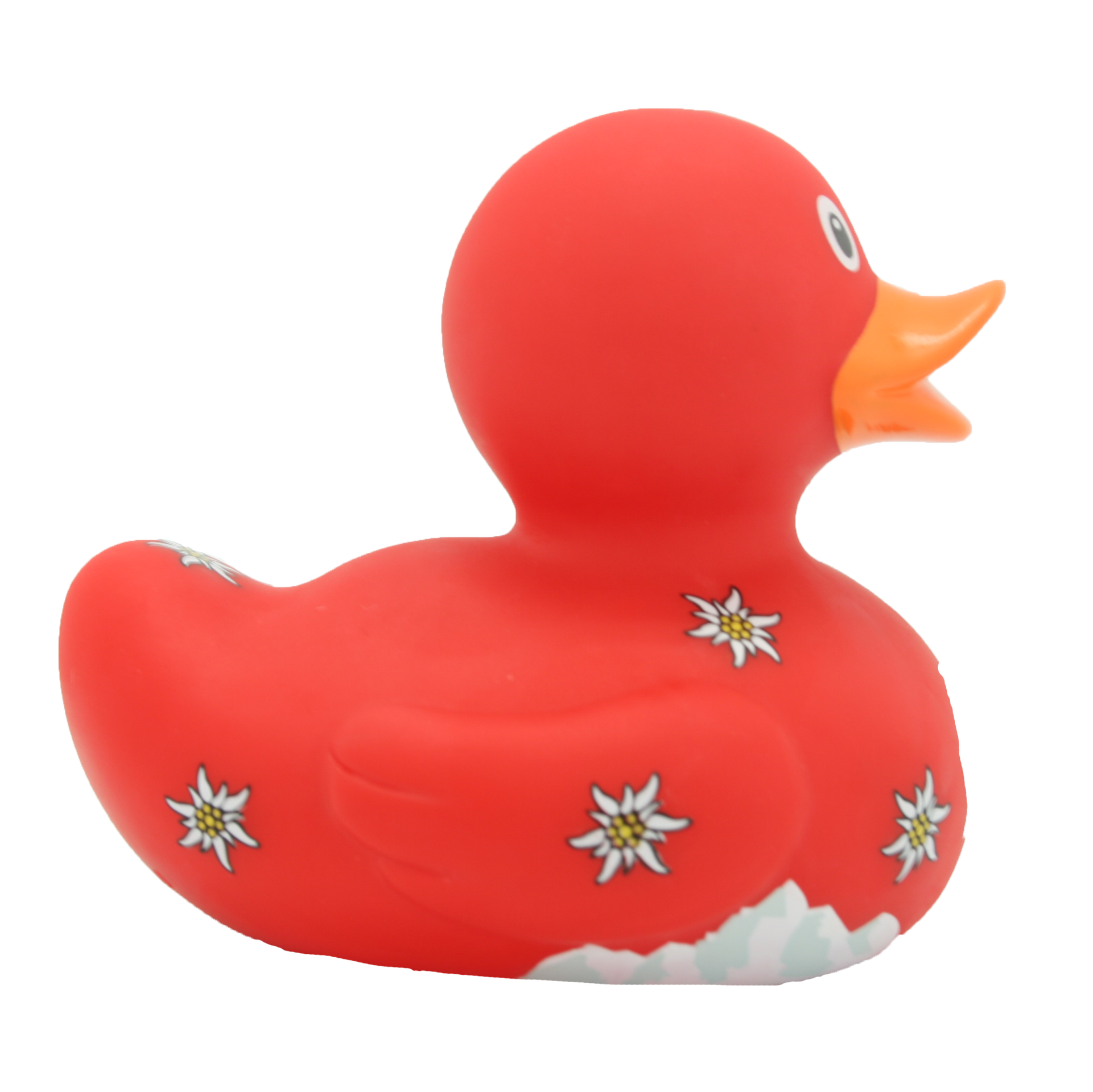 Canard Suisse
