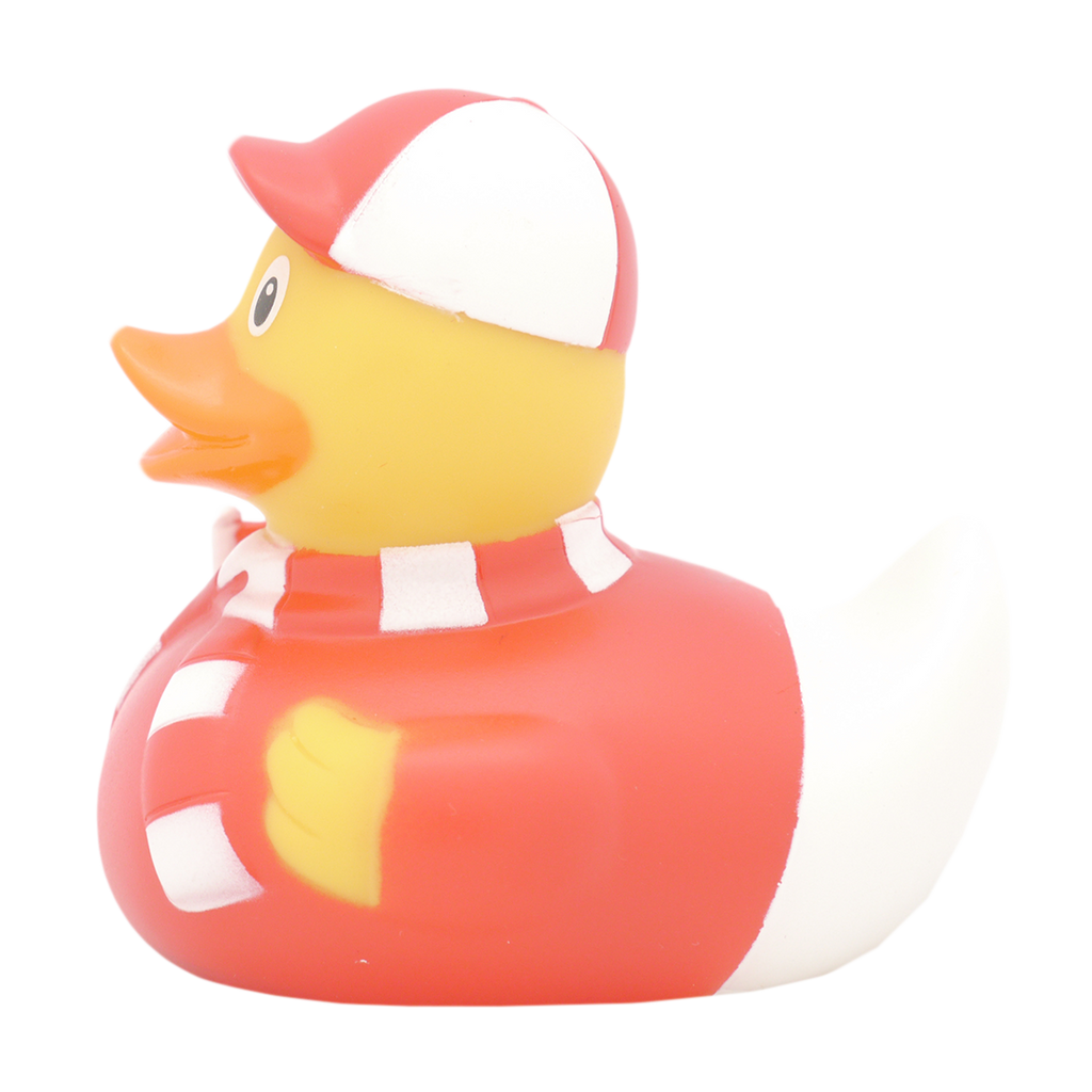 canard-supporter-lilalu