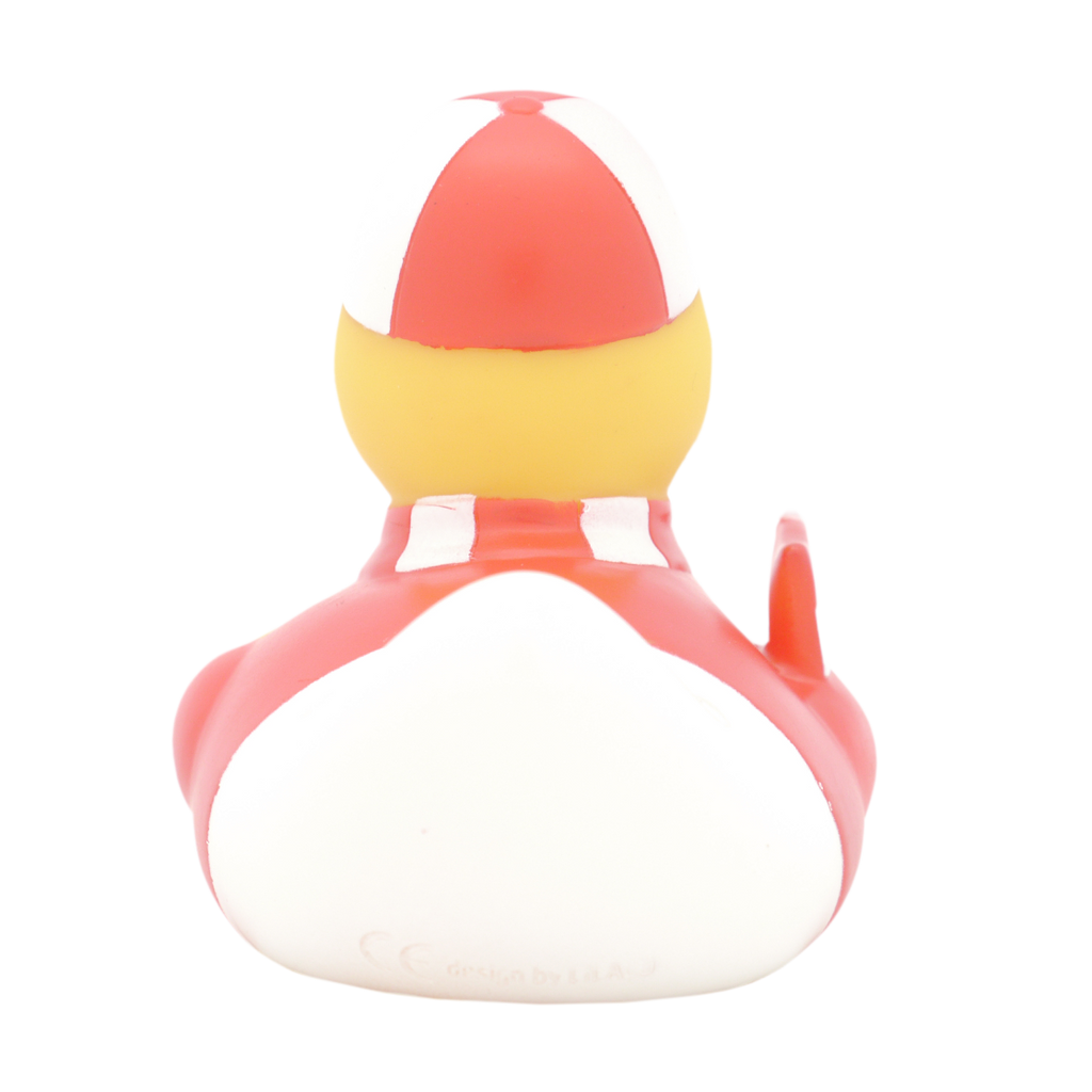 canard-supporter-lilalu