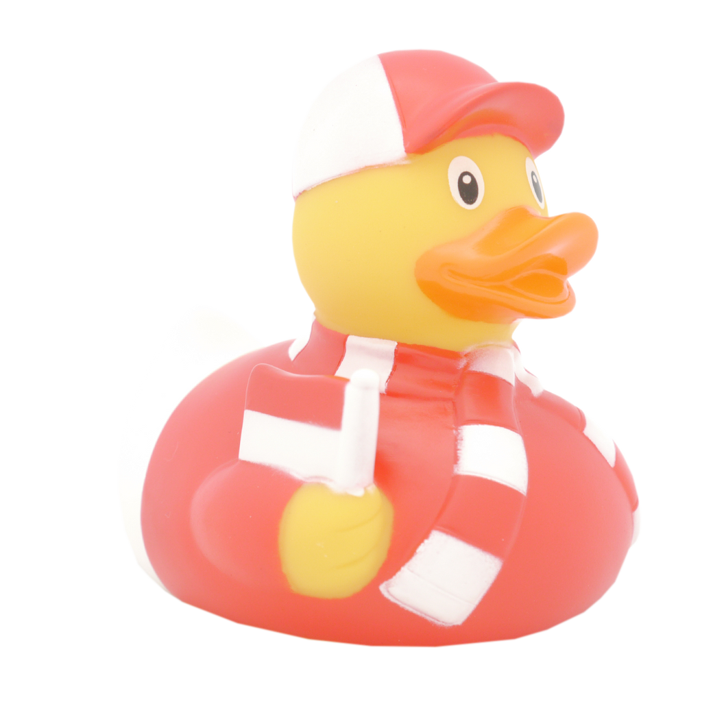 canard-supporter-lilalu