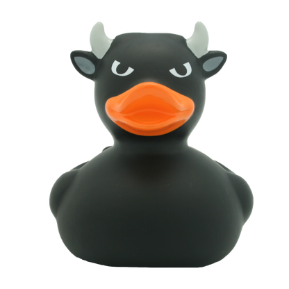 Black bull duck