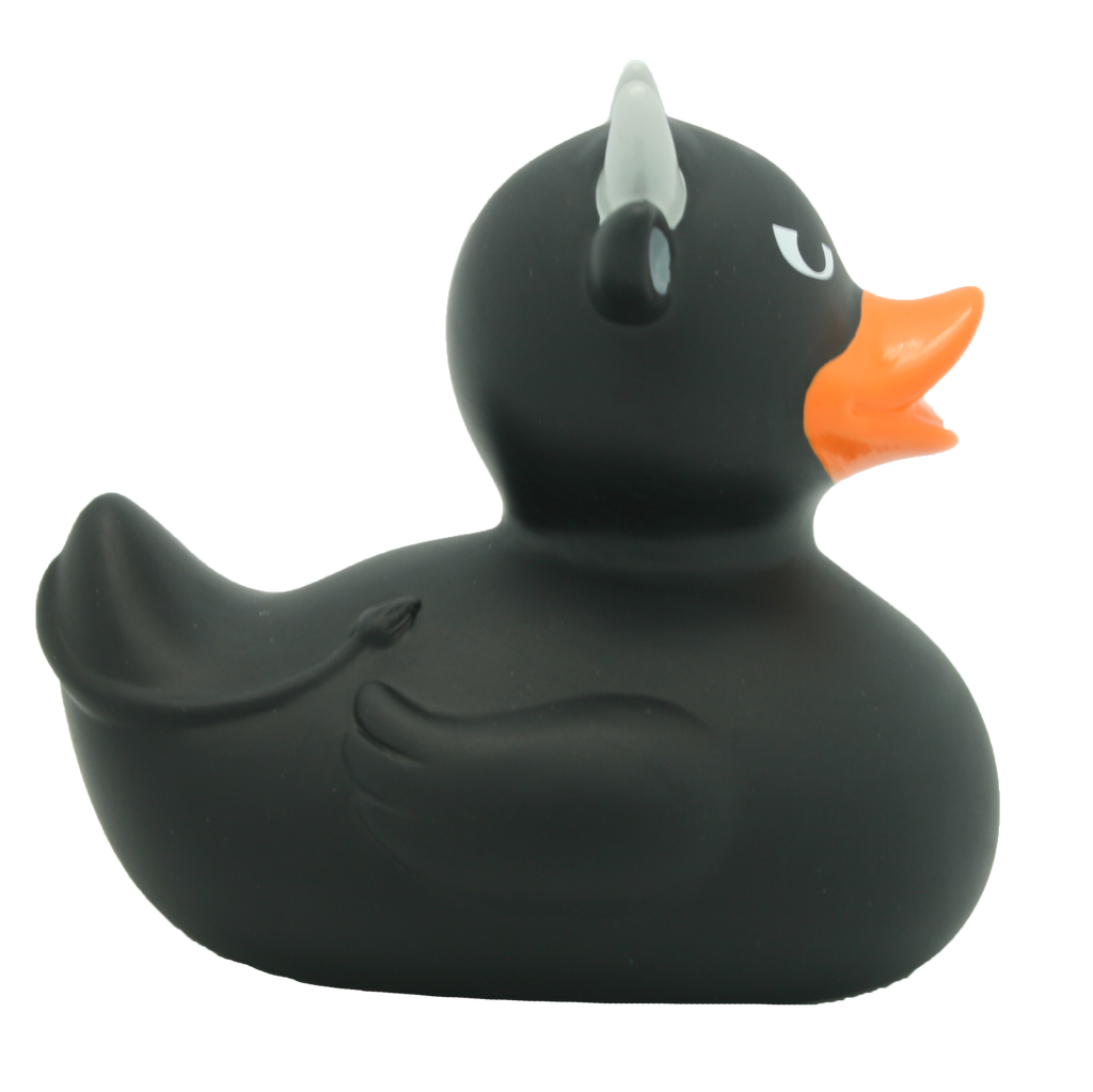 Canard Taureau Noir - vue 4