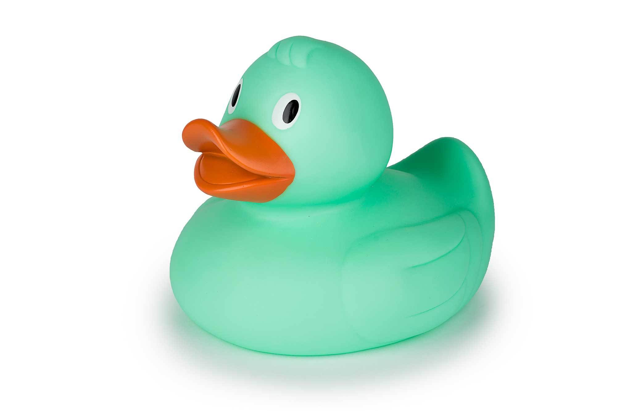 Canard Vert XL – visuel produit