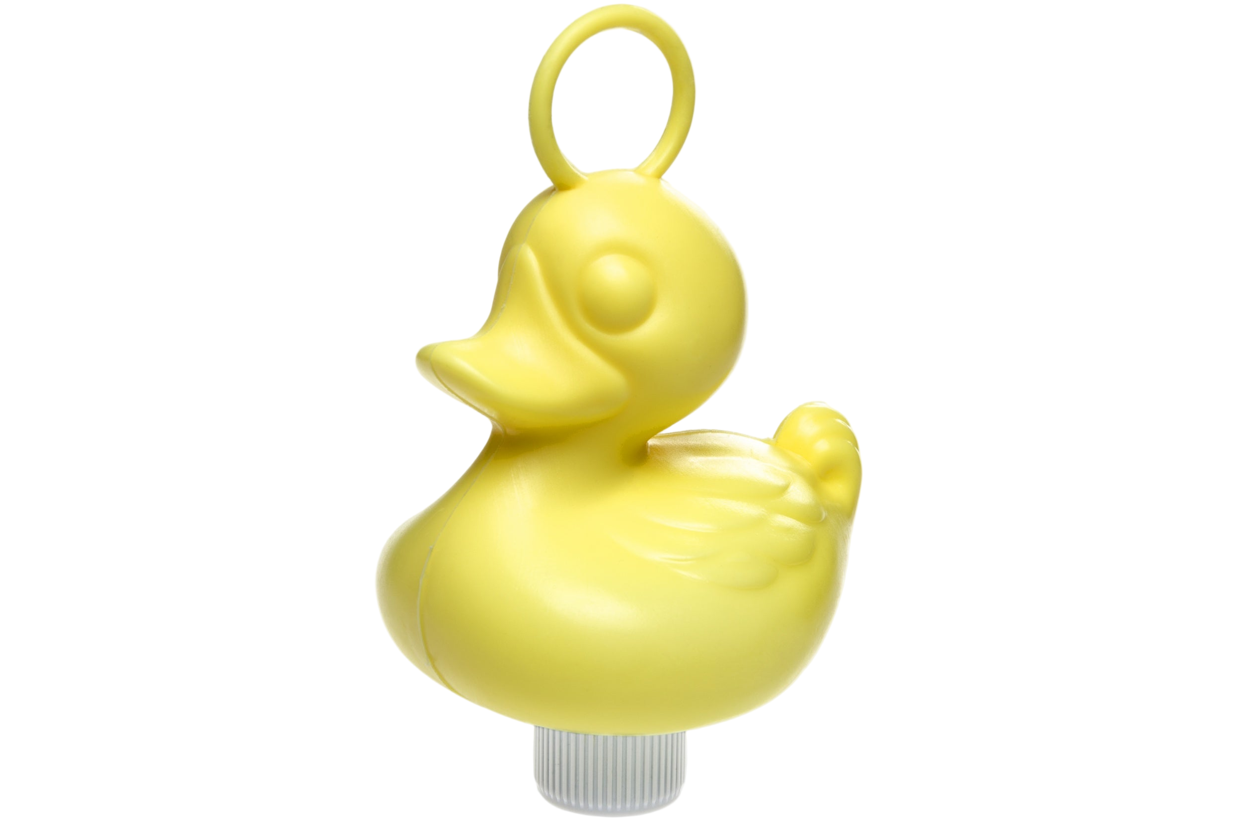 Патици за риболов на патици