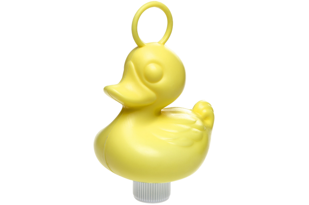 Canards de Pêche aux Canards