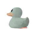 Mini Kawan Duck Mint