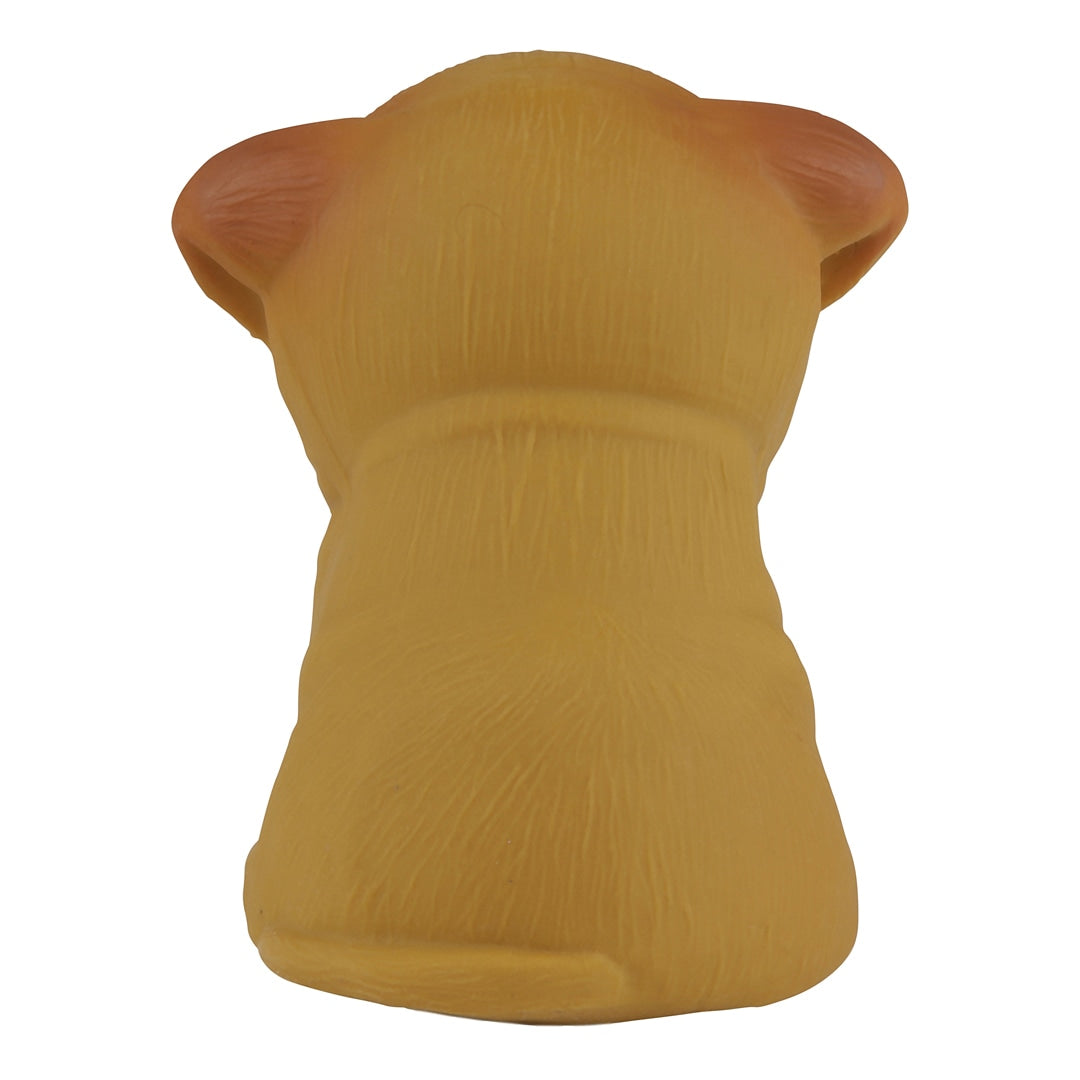 Puppy Parade Caniche