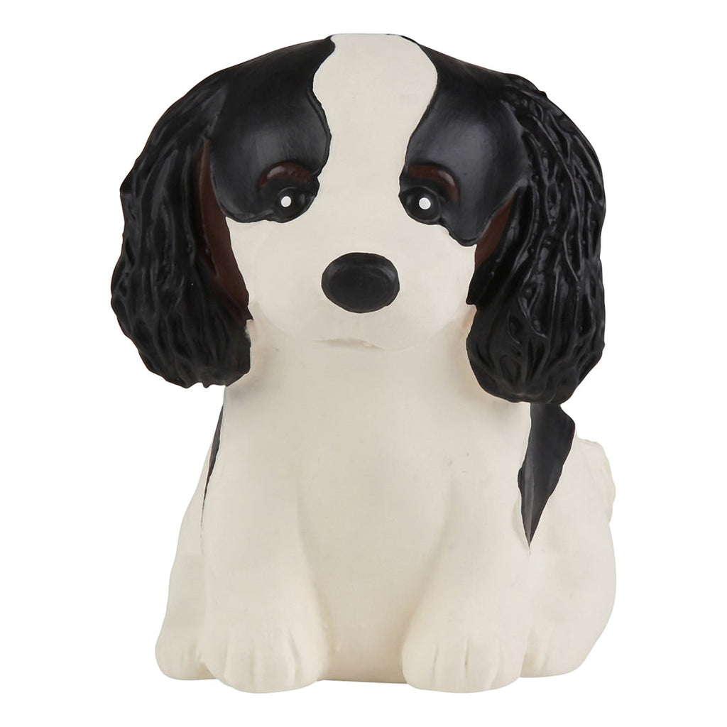 Puppy Parade Cavalier King Charles