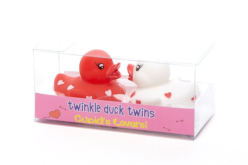 Pari ankkoja rakastaa