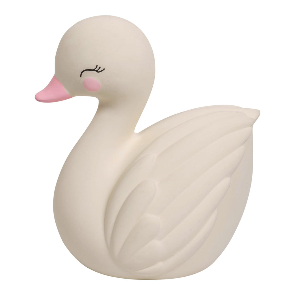 Cygne de Dentition