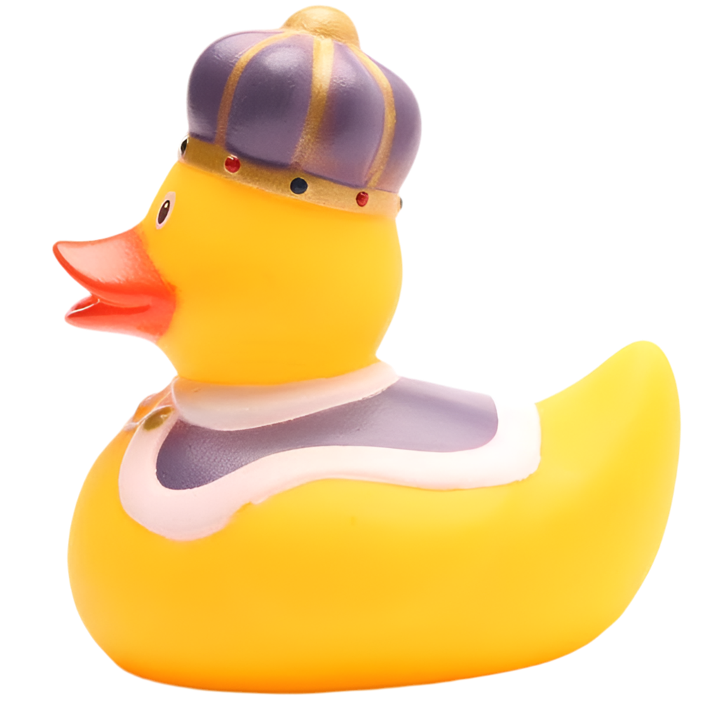 Canard Roi