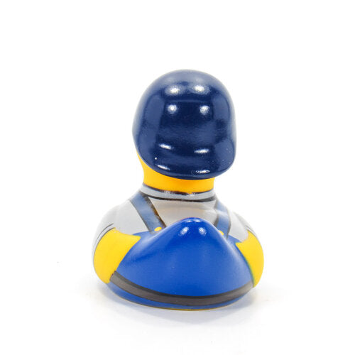 mini-canard-diy-bud-duck